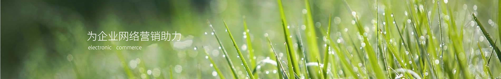 геƼ޹˾